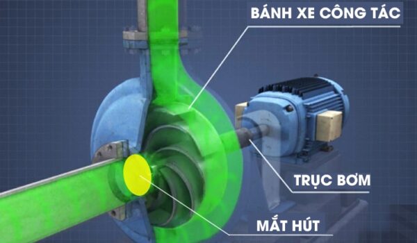 Cấu tạo trong máy bơm ly tâm