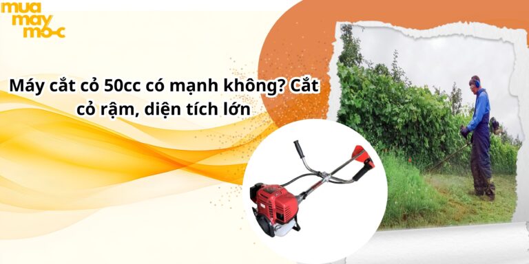 Máy cắt cỏ 50cc có mạnh không? Cắt cỏ rậm, diện tích lớn