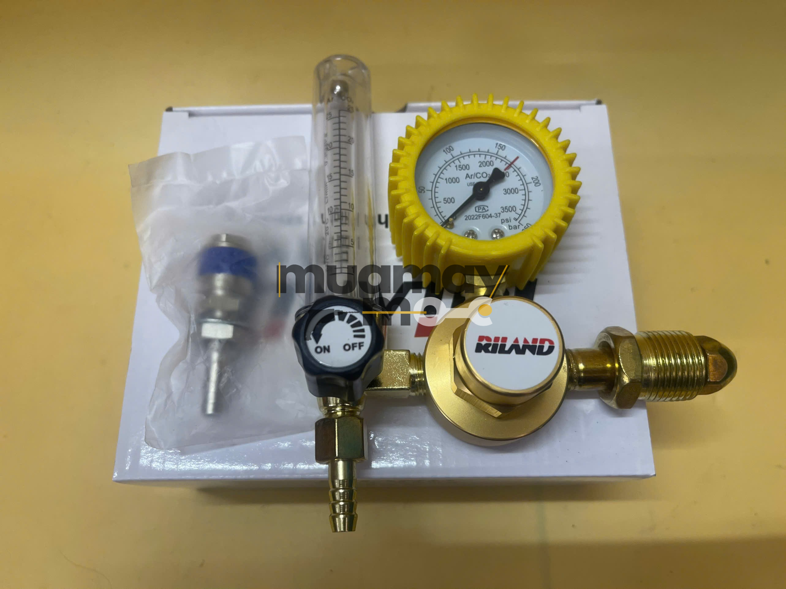 Máy Hàn Tig 200A RILAND TIG 250PGDM