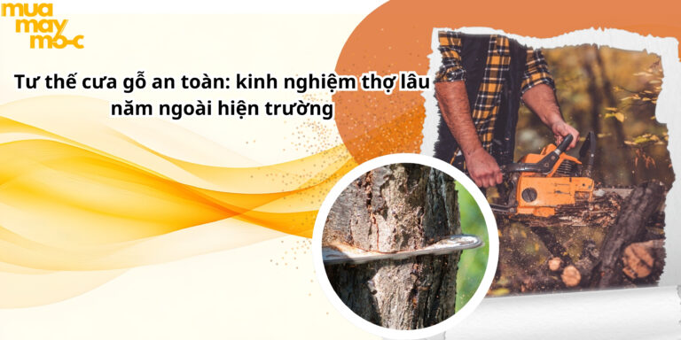 Tư thế cưa gỗ an toàn: kinh nghiệm thợ lâu năm ngoài hiện trường