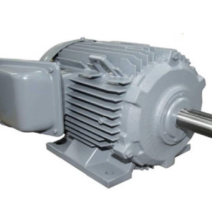 Motor 3 Pha Chân Đế 1HP TFO-K-4P