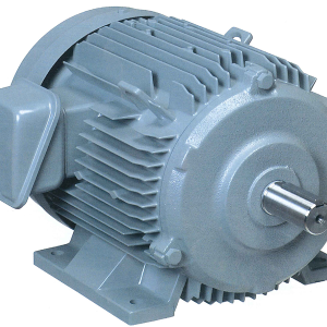 Motor 3 Pha 2HP Chân Đế 2HP-TFO-K(DK)